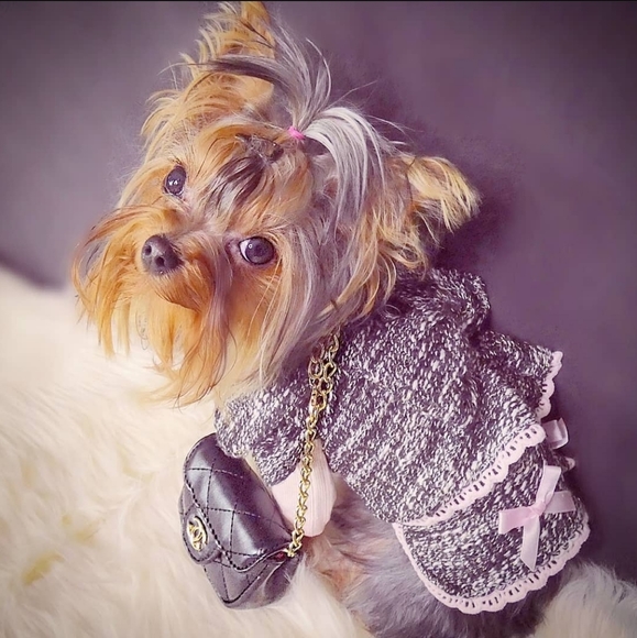 Meet your Posher, Rahjeena - Picture 5 of 16